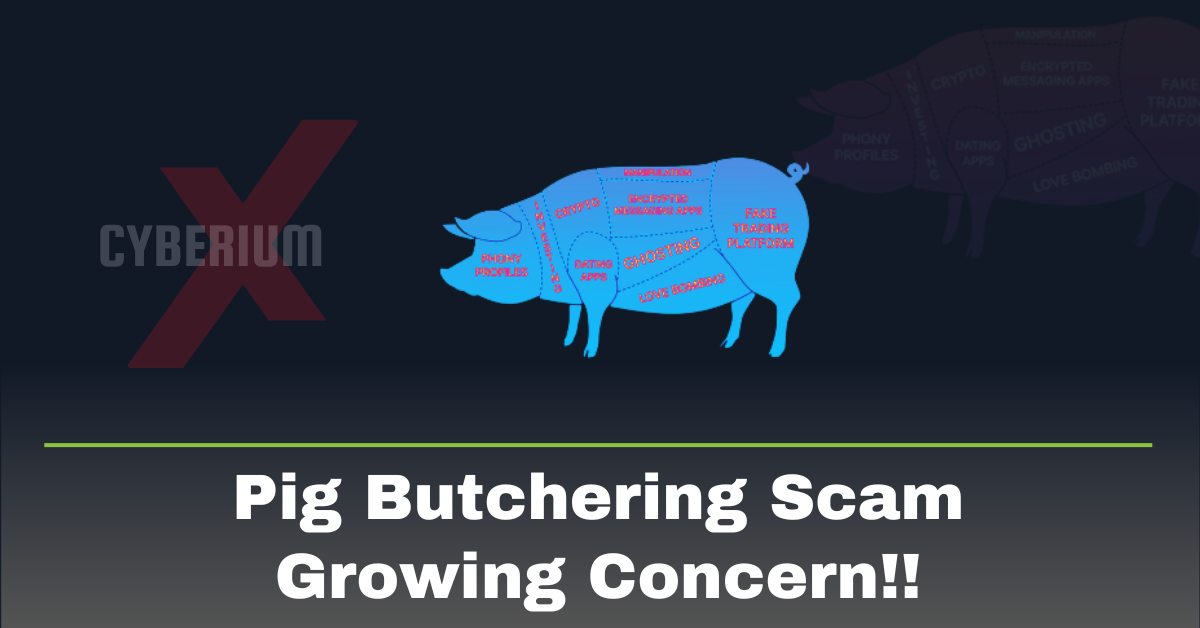 Pig Butchering Scam – Growing Concern!